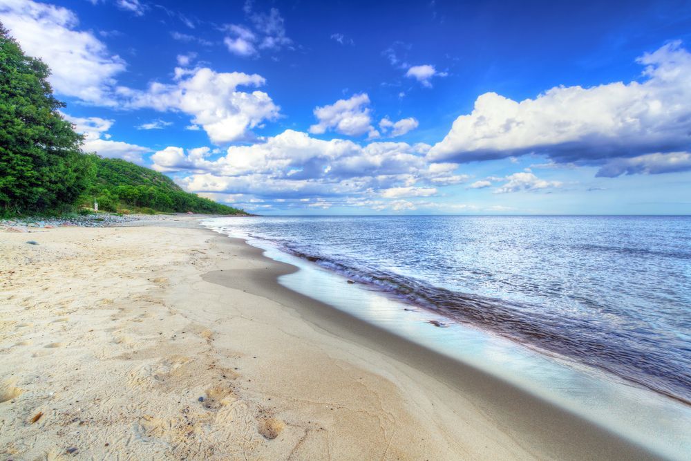 Ashland Interest Assessment SIGMA Assessment Systems