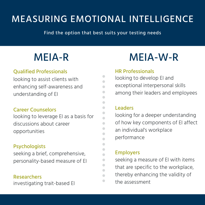 Multidimensional emotional intelligence assessment-revised