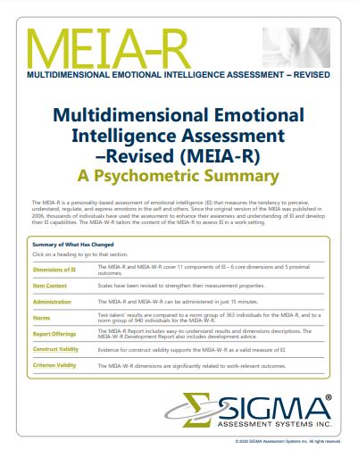 MEIA-R Psychometric Summary
