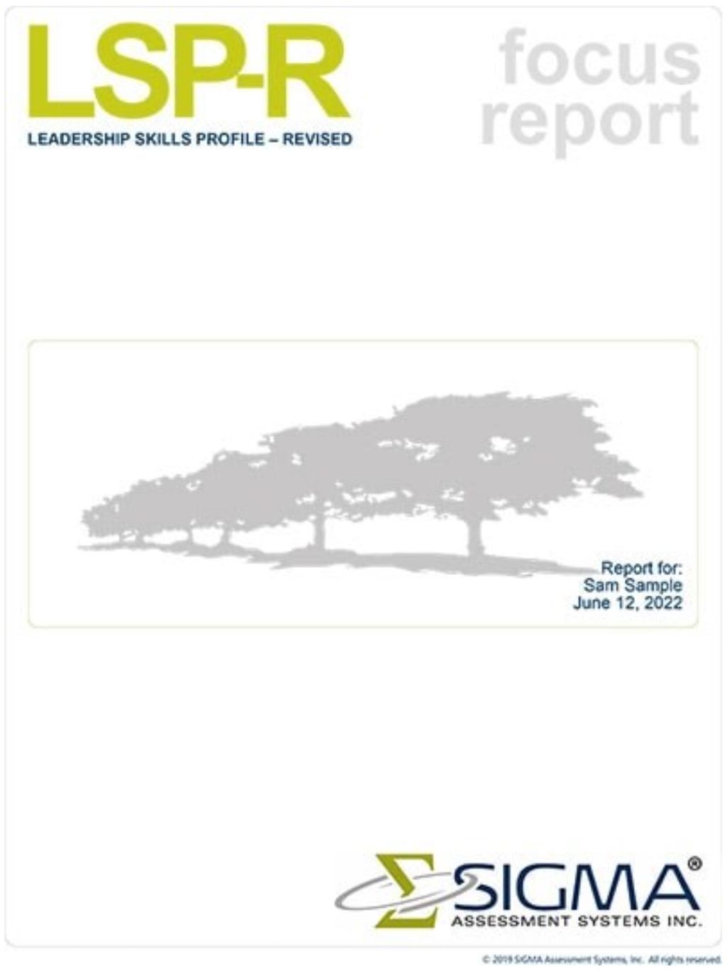 Cover of the LSP-R Focus Report
