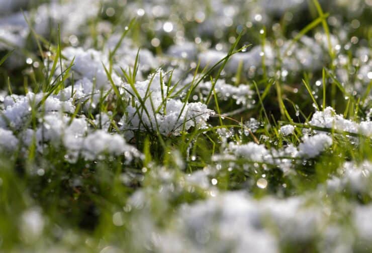 Snow on grass; cover image for blog on how to develop integrity at work.