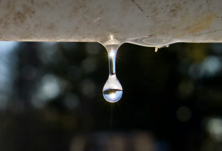 Water dripping steadily from a natural surface, symbolizing the gradual loss of value from leadership development programs when key gaps go unaddressed.